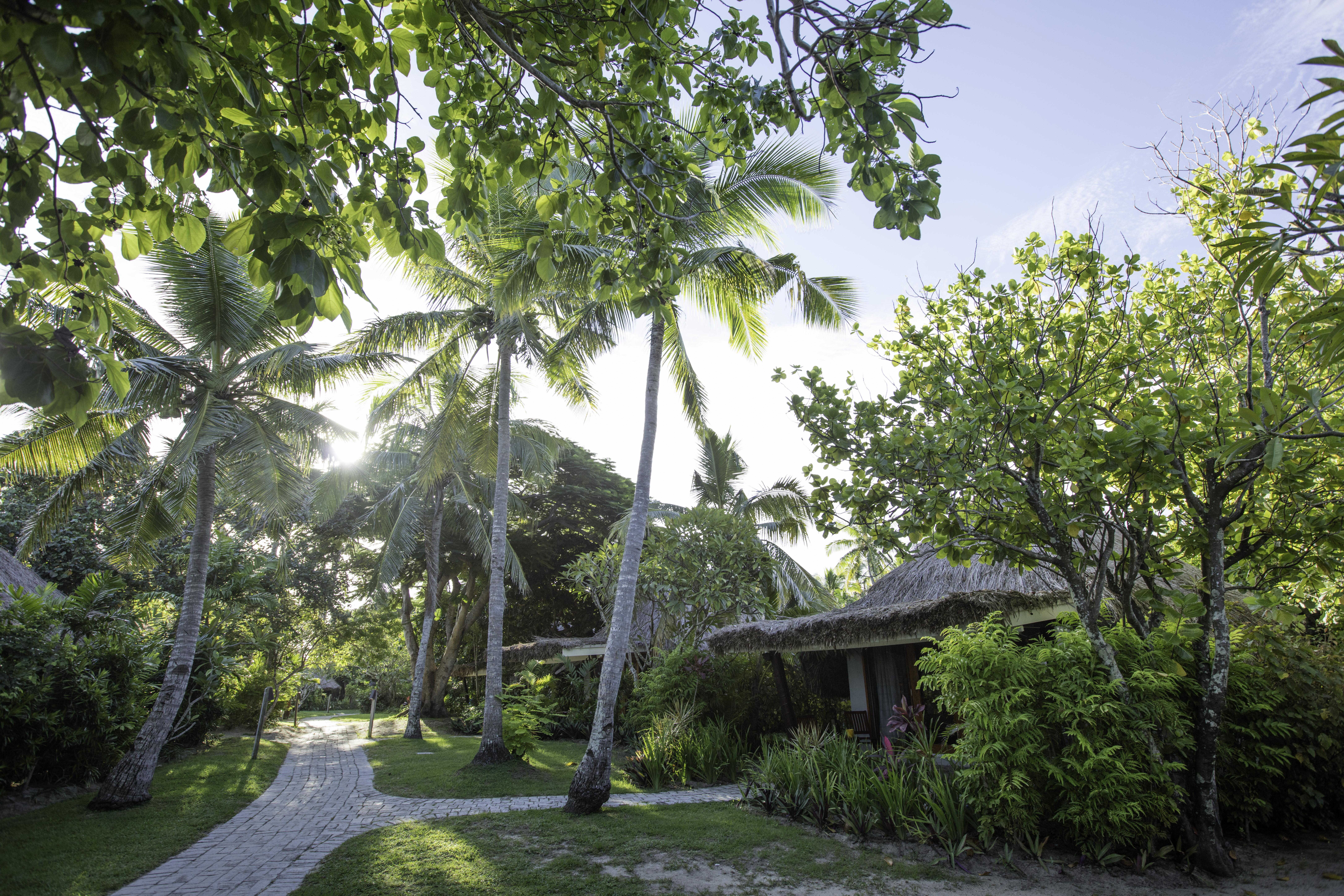 Hotel Castaway Island, Fiji Esterno foto